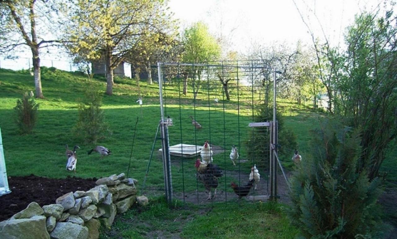 Naturfreundepension Hagenberger Fuer Erwachsene Witzmannsberg Exterior photo