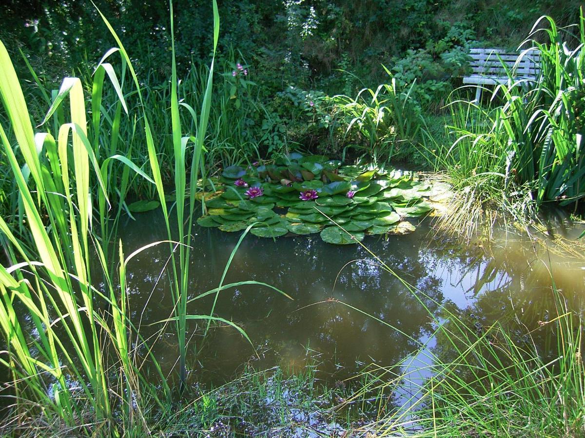 Naturfreundepension Hagenberger Fuer Erwachsene Witzmannsberg Exterior photo